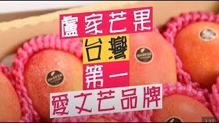 【通際貿易】盧家芒果最佳之謎揭秘