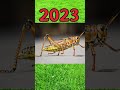 2023 grasshopper vs 5000 bce grasshopper