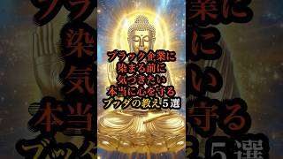 ブラック企業に染まる前に気づきたい本当に心を守るブッダの教え５選 #ブッダ #仏教 #名言