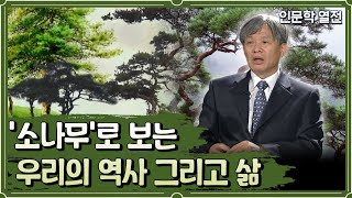 '소나무'로 보는 우리의 역사 그리고 삶 [인문학 열전]