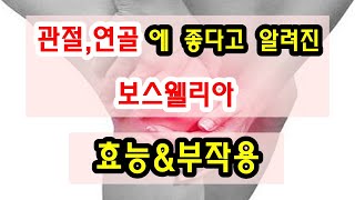 보스웰리아 효능과 부작용 잘 알고 드셔야해요~