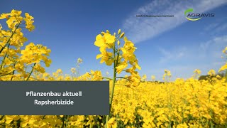 Pflanzenbau aktuell - AGRAVIS Niedersachsen-Süd GmbH