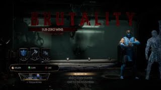 Mortal Kombat 11 - Sub-Zero - Brutality Combo - Falling to Pieces