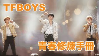 【TFBOYS十週年演唱會】《青春修練手冊》 TFBOYS 王俊凱 王源 易烊千璽 高清 純享版 #王俊凯 #王源 #易烊千玺 #tfboys #十年之約