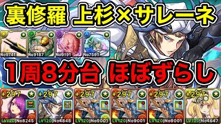 【パズドラ】2パターン目！裏修羅の幻界！上杉×サレーネ！1周8分台！ほぼずらし！シヴァドラループで爆速ランク上げ周回！【2周分】【概要欄に立ち回りなど記載】