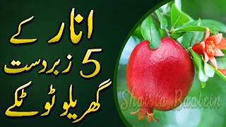 Anar Ke Chilke Ke Fayde/Gharelu Totke | Top 5 Uses Of Pomegranate In Urdu/Hindi | @ShaistaBaatein