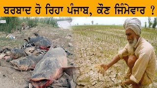 ਬਰਬਾਦ ਹੋ ਰਿਹਾ ਪੰਜਾਬ, ਕੌਣ ਜਿੰਮੇਵਾਰ? Punjab Now |