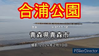 合浦公園(青森県青森市)20240210