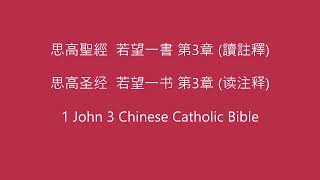 若望一書 第3章 (讀註釋) • 天主教思高聖經新約 • 1 John 3 • The New Testament • Chinese Catholic Bible