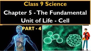 NCERT CLASS 9 | SCIENCE | CHAPTER - 5 | PART - 4 | CELL | CAREER MAKERS INSTITUTE