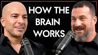 249 ‒ How the brain works, Andrew’s fascinating backstory, improving scientific literacy, and more