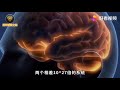 宇宙是27个数量级的人脑？科学家：相似之处众多！