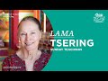 July 28, 2024 | Teachings with Lama Tsering #buddhism