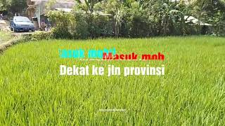 Jual sawah di ciranjang-cianjur