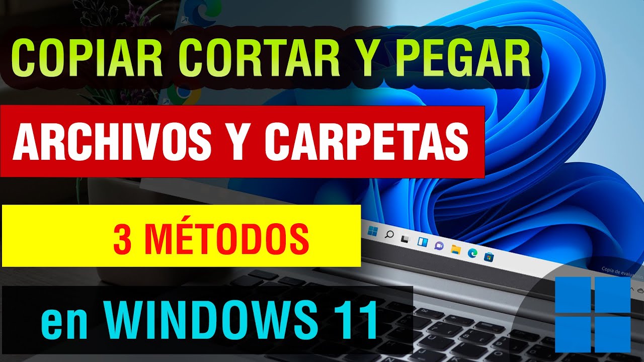 Como Copiar Y Pegar Archivos Y Carpetas En Windows 11 | Cortar Copiar Y ...