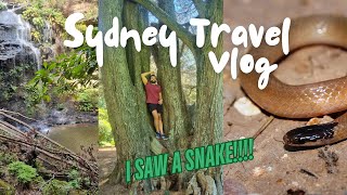 Wild Sydney Travel Vlog- I SAW A SNAKE!