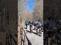 single track classic 2023 hardwood ontario mtb race xc