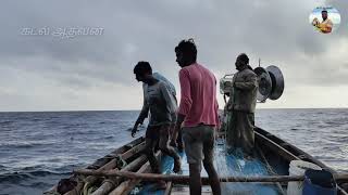 இரண்டு புயல்களுக்கு பிறகு முதல் கடல் முள்ளி சங்கு விசைப்படகு   - கடல் ஆதவன்