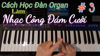 #3 - Cách học đàn Organ để làm NHẠC CÔNG ĐÁM CƯỚI | Cho Người Chưa Biết Gì - Học Đàn Từ Đầu | Bài 3