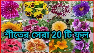 শীতের ফুলগাছ কি কি করবেন ও কিভাবে করবেন ?? Winter flower ।। Winter flower name and care ।।