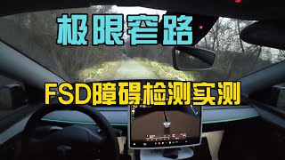 Tesla FSD in China: How Sharp is Occupancy Net's Detection on Extreme Narrow Roads?