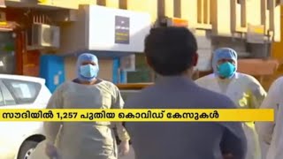 സൗദിയില്‍ പുതുതായി 1257 കൊവിഡ് കേസുകൾ