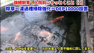 2022.6.24 錦鯉飼育🌟膵臓癌オペや入院に備えてやっときたいこと【1/3】成魚池の濾過槽DCポンプ