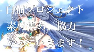 白猫プロジェクト3周年について雑談しながら協力やっていきます！！