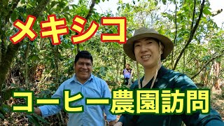 【通い続けて12年】メキシコのコーヒー農園訪問