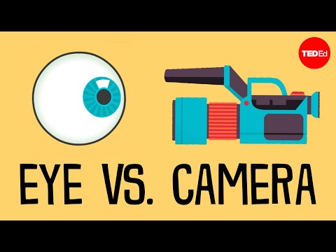 What is difference between eye and camera?