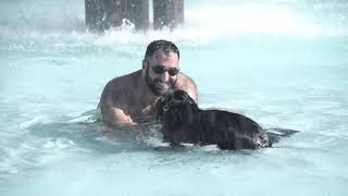 Pooch Plunge 2021 Highlights