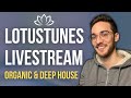 Creating a Full Organic & Deep House Track (From Scratcherino)