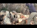 hand splitting red oak handsplitting firewood wood outdoors oak