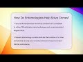 how do entomologists help solve crimes biology for everyone