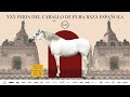 XXV FERIA DEL CABALLO DE PURA RAZA ESPAÑOLA  - QTGC