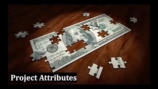 Project Attributes