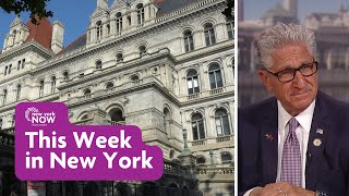 Understanding New York's State Government
