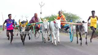 தூத்துக்குடி டேவிஸ்புரம் தேன்சிட்டு -  1 மாட்டு வண்டி எல்கை பந்தயம் - 6.11.2022 @vilasalnews