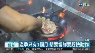 東石芝美蝦盛產 蝦膏甜美媲美大閘蟹 | 華視新聞 20181009