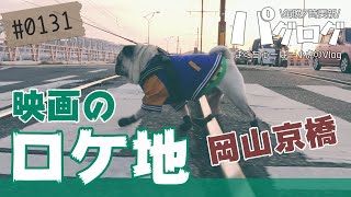 映画のロケ地 岡山京橋を歩くパグ犬小虎 [パグログ-0131]