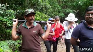 කන්නෙලිය බලන්න යමු                     Sipsewana Annual Trip 2023 -Kanneliya