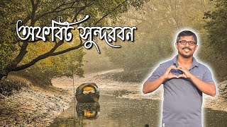 Sundarban offbeat tour | Sundarban Mangrove | সুন্দরবন | Boat ride | sundarban tiger | core area