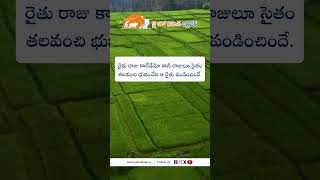 JHK Farmer Quote | Motivational quotes Telugu I Inspirational Quotes I Telugu Quotes@JaiHoKisan    ​