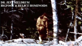 Dr. Jeff Meldrum - Bigfoot \u0026 Relict Hominoids COMPLETE INTERVIEW Sasquatch, Yeti, Grover Krantz