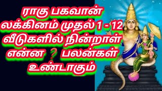 ஜாதகத்தில் ராகு பகவான் லக்கினம் முதல் 1-12 வீடுகளில் நின்றாள் என்ன❓பலன்கள் உண்டாகும் ragu pagavan 12