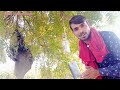 ભુંડ અને રોઝ ભગાડવા માટે દેશી જુગાડ hitesh thakor vlogs