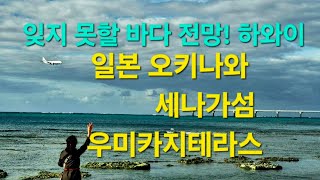 오키나와 하와이/ 나하공항/인기있는 관광지 세나가섬 우미카지테라스