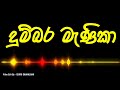 දුම්බර මැණිකා female version pavani perera dumbara manika lyrics video