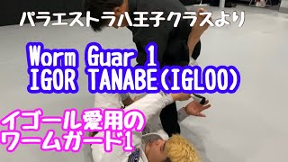 パラエストラ八王子クラスより イゴール・タナベ(igloo) ワームガード1 Worm Guard1