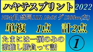 ハヤテスプリント2022 ＃競馬＃地方競馬＃競馬予想